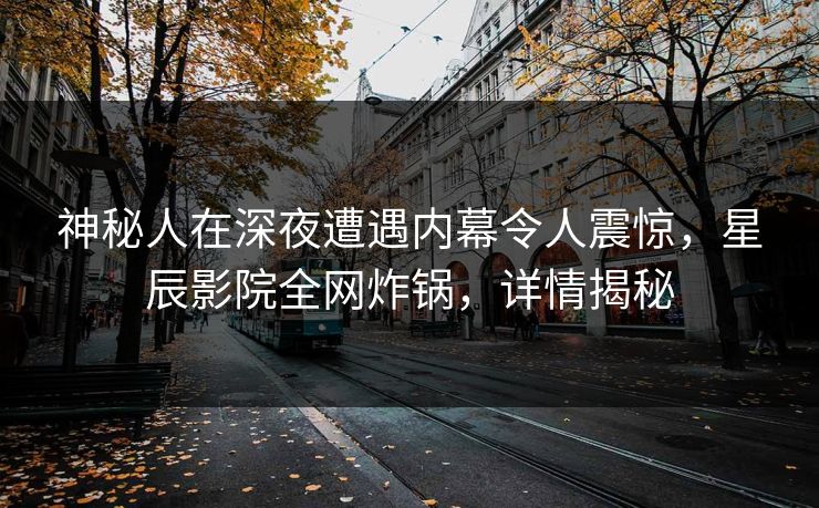 神秘人在深夜遭遇内幕令人震惊，星辰影院全网炸锅，详情揭秘