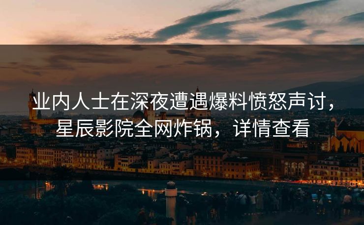业内人士在深夜遭遇爆料愤怒声讨，星辰影院全网炸锅，详情查看
