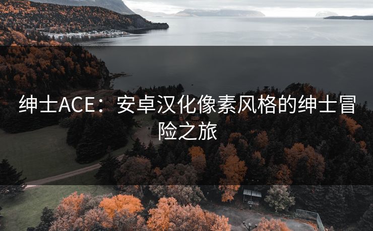绅士ACE：安卓汉化像素风格的绅士冒险之旅