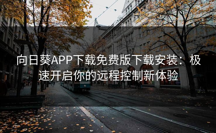 向日葵APP下载免费版下载安装：极速开启你的远程控制新体验