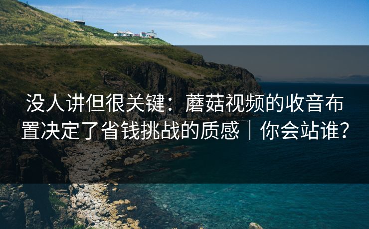 没人讲但很关键：蘑菇视频的收音布置决定了省钱挑战的质感｜你会站谁？